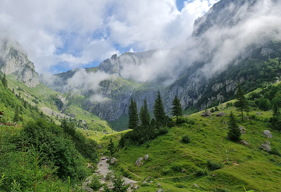 3. ПРИХИСТОК «MONTANA» В КАРПАТСЬКИХ ГОРАХ (312 ОСІБ).